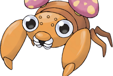 Ceinture pro pokemon online