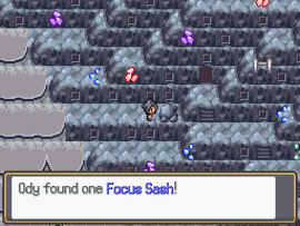 Focussash1.png