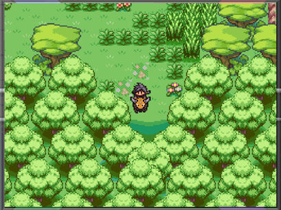 Ansul-Region - Evolução- Gourse >(Leaf Stone)> Trorranca Descrição- As  pessoas acreditam que esse pokémon nasce como um fruto de árvores que foram  amaldiçoadas por espíritos. Eles são imprevisíveis e muito difíceis de