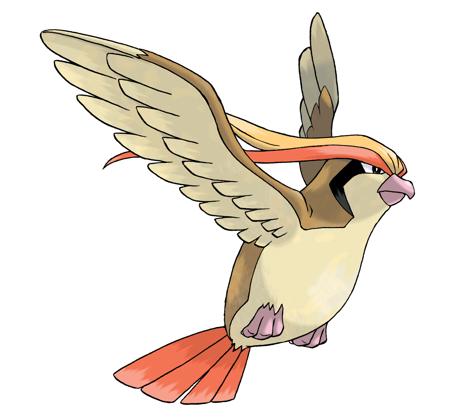 New Region - 013 Birdy - Flying O pokemon passaro. Este pokemon voa em  bandos sobre campos e cidades. Birdy é um pequeno passaro que se alimenta  de sementes e frutas pequenas.