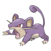 Rattata