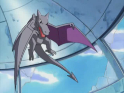 This is Nia, my aerodactyl from Pokémon X. She has The jolly