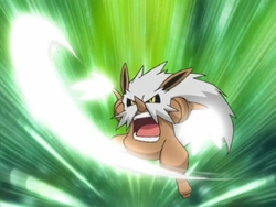 Anneliese's Shiftry | Pokemon: Sinnoh Adventures Wikia | Fandom