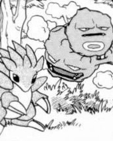 Sandslash Pokemon Special Wikia Fandom Sandslash Pokemon Special Wikia Fandom