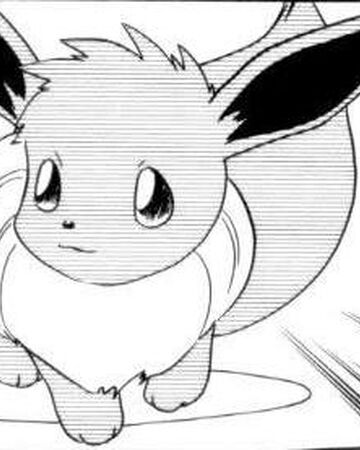 Eevee Pokemon Special Wikia Fandom