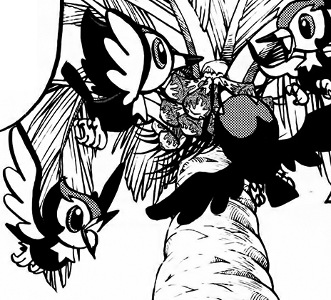 Pikipek Pokemon Special Wikia Fandom Pikipek Pokemon Special Wikia Fandom