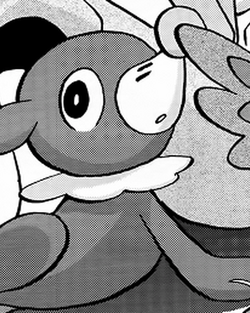 Popplio | PokÃ©mon Special Wikia | Fandom