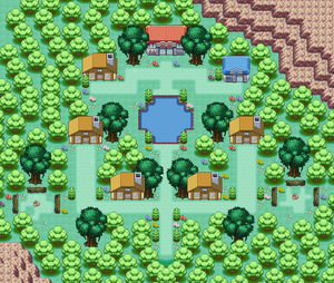 Puzzle Village, Pokémon Wiki