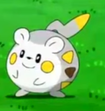 Togedemaru | Pokémon Sun and Moon Abridged Wiki | Fandom