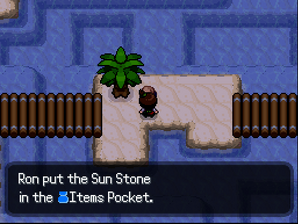 Location of the Sun Stone on Route 7.