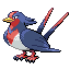 Swellow