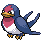 Taillow's front sprite