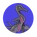 Salazzle