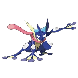 ゲッコウガ 10枚セット　Greninja Q10 Studio – Pokémon Greninja Evolution Set - elevenGK Anime