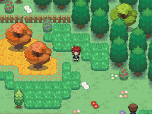 Dex :: Route 7 in HeartGold 