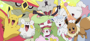 Turtonator and Marowak with their friends, Tsareena, Shaymin, Snowy, Sandy, Primarina, Pikachu and Togedemaru