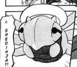 Shedinja was used as her last Pokémon and fought against Emerald's Sudowoodo.