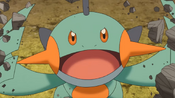 Marshtomp, having evolved from Mudkip