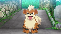 Officer Jenny Growlithe.png