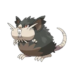Alolan Raticate