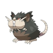 Alolan Raticate
