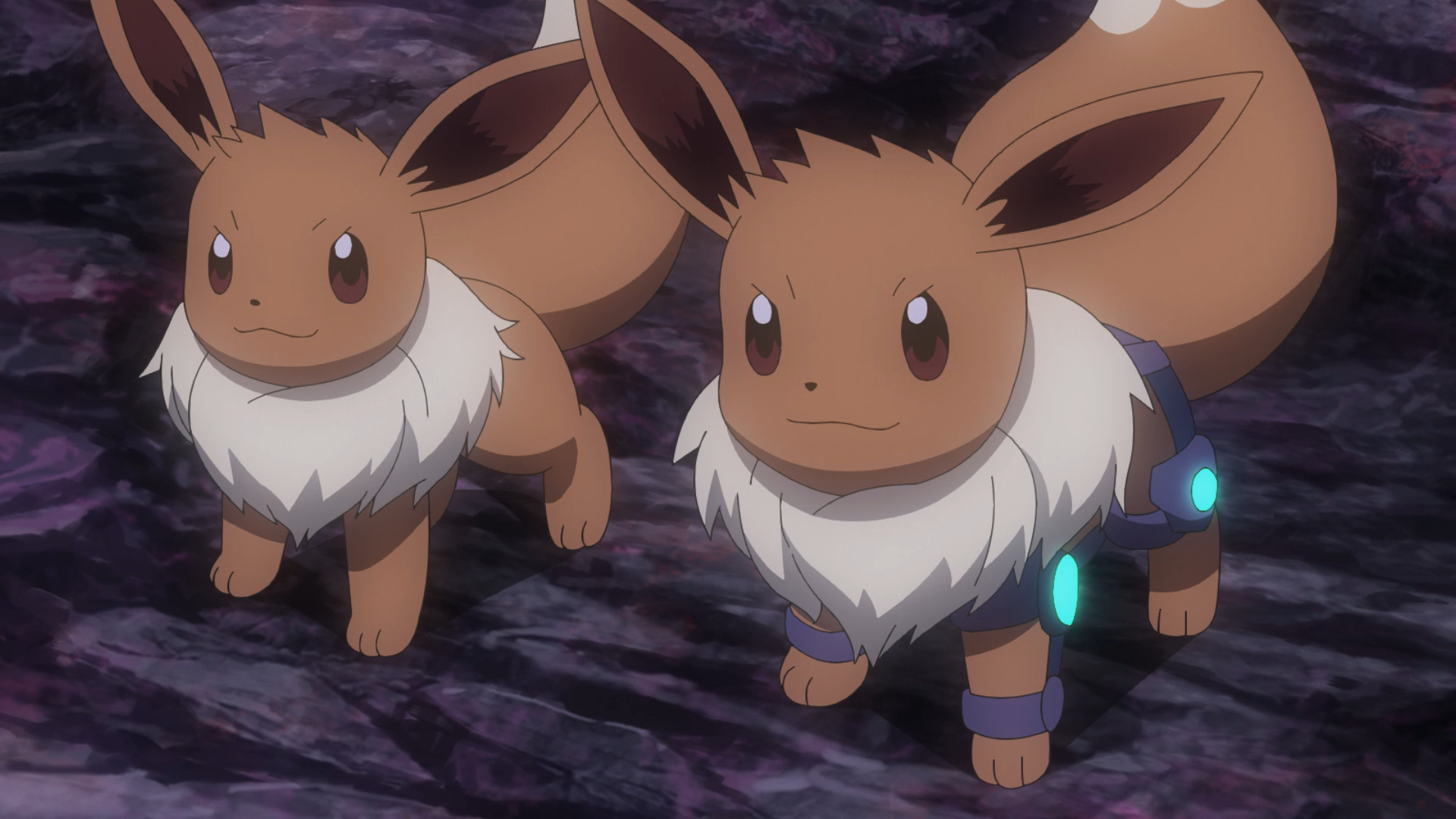 O Arco e o Futuro da Eevee da Cloe! - Pokémothim