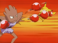 Comet Punch being used by Anthony's Hitmonchan.