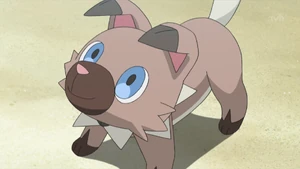 Ash's Rockruff.
