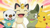 Meowth is grateful the Pokémon healed him