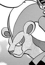 To capture X's Mega Ring, Aliana borrowed Malva's Pyroar. After returning to the Team Flare headquarters, per Malva's request, Aliana gave back Pyroar.