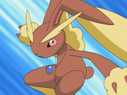 Paris Lopunny