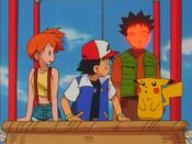 Brock blushes at the Butterfree girl