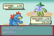 Waterfall depicted in Pokémon Ruby Version and Pokémon Sapphire Version