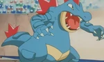 The Whirl Cup winner used Feraligatr to battle Golduck, winning the battle.