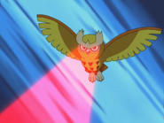 Noctowl Using Foresight