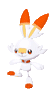 Scorbunny SS