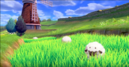 Wooloo in the grass