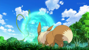 Eevee uses Protect to defend itself from Quilladin