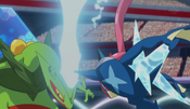 Ash-Greninja hits Mega Sceptile with Aerial Ace