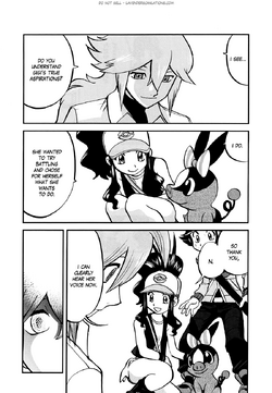 Pokemon Black and White: It's All in the Details 
