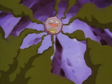 James Koffing Smoke Screen