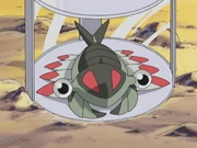 Professor Proctor's Anorith.