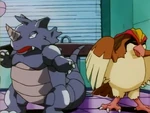 Rudy trains Pidgeot at his Gym.