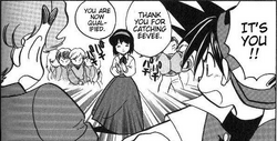 Erika (Pokémon Adventures)