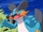 Alva's Swampert