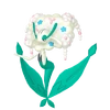 0671DFlorges Pokémon HOME