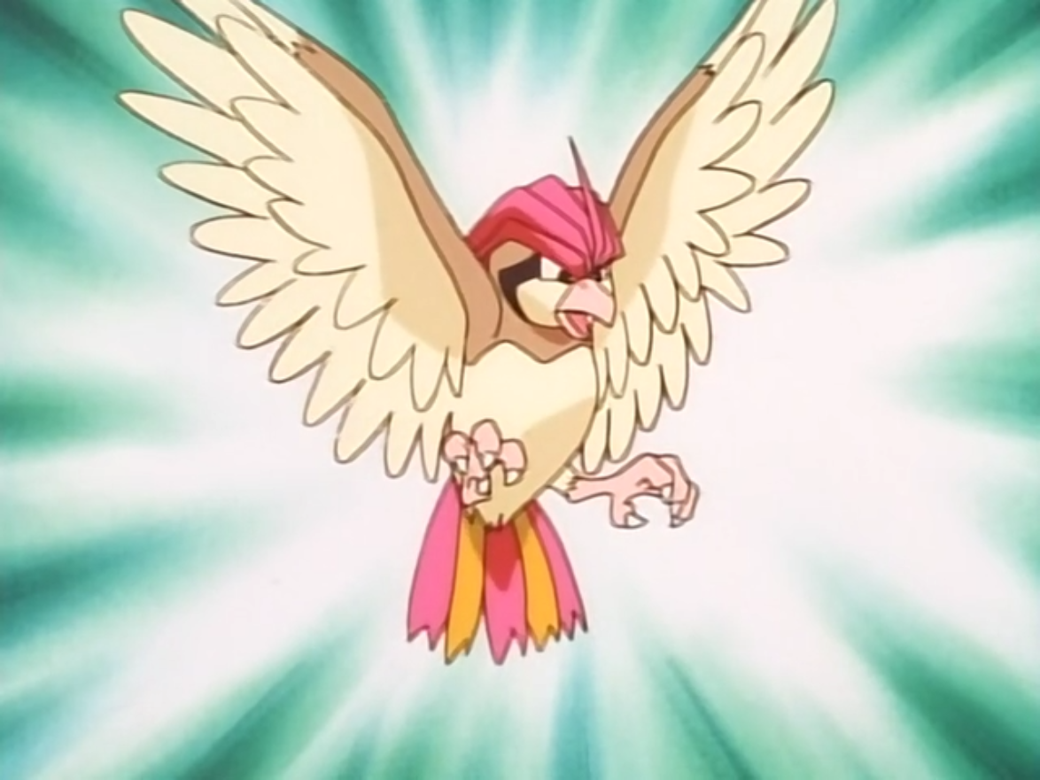 Due to similarities between Pidgeotto and its evolved form, Pidgeot, many p...