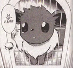 Cyrus had kidnapped Eevee to blackmail Mitsumi to join Team Galactic. It was later freed by Jun.