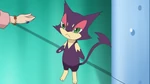 Mrs. Ripple had a Purrloin, who wandered around the Decolore Queen and found out the real criminal.