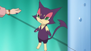 An angry Purrloin in the anime